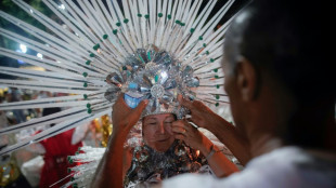 Carnaval de Rio: "le plus grand spectacle de la Terre" a commenc&eacute;
