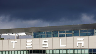 Tesla in Gr&uuml;nheide will tausend weitere Arbeitspl&auml;tze schaffen 