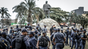 Mardi &agrave; risque en Afrique du Sud en pleine campagne contre l'immigration
