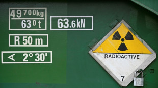 Umstrittene deutsch-russische Atom-Zusammenarbeit genehmigt - unter Auflagen