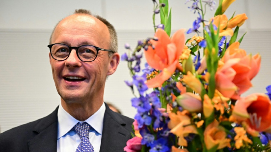 Geburtstagsempfang f&uuml;r Merz: Eine Strau&szlig;-Figur von S&ouml;der und Lob von Klingbeil