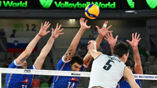 Mondial de volley: les Bleus s'arr&ecirc;tent en quarts