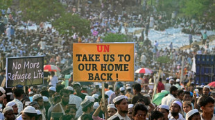 Top UN court to hear Rohingya genocide case against Myanmar