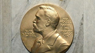 Auff&auml;llige Wettquoten: Nobelinstitut vermutet Spionage bei Friedensnobelpreis