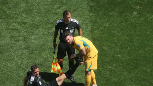 Zweiter WM-Einsatz: Zwayer pfeift Kongo gegen Usbekistan