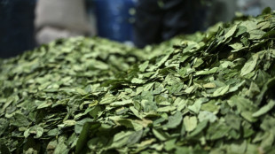 Chapare, a terra da coca que desafia o governo da Bol&iacute;via