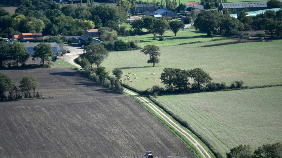 L'Europe sous pression face &agrave; la flamb&eacute;e du co&ucirc;t des engrais