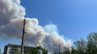 Forest fire burns near Chernobyl nuclear plant after drone crash