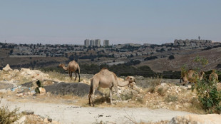 Israel weist Kritik aus Gro&szlig;britannien an Siedlungsprojekt E1 zur&uuml;ck