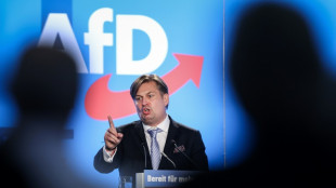 Mitarbeiter von AfD-Politiker Krah wegen mutma&szlig;licher Spionage in Untersuchungshaft