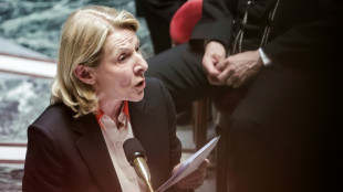 Francia aprueba una ley para devolver las obras saqueadas durante la colonizaci&oacute;n