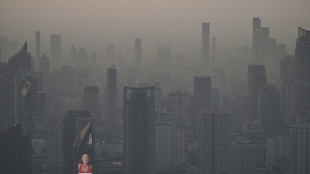 'Make emitters responsible': Thailand's clean air activists