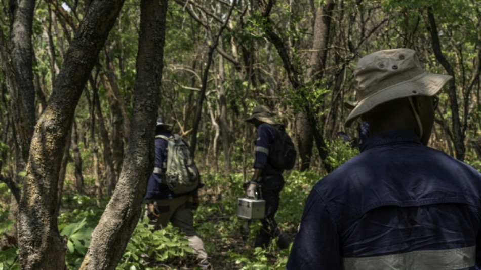 US miner KoBold bets on AI to gain edge in DR Congo mineral hunt
