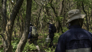 US miner KoBold bets on AI to gain edge in DR Congo mineral hunt