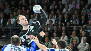 Gidsel-Rekord: F&uuml;chse feiern zweiten Champions-League-Sieg