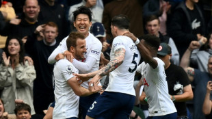 Angleterre: Tottenham d&eacute;passe Arsenal 