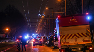 Zehn Tote bei Feuer in siebenst&ouml;ckigem Wohnhaus bei Lyon