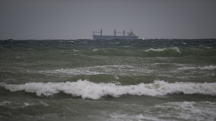 La Roumanie annonce sept disparus en mer Noire apr&egrave;s l'incendie d'un navire
