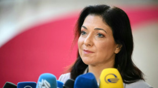 Steigende &Ouml;l- und Gaskosten: Reiche lehnt Preisdeckel ab