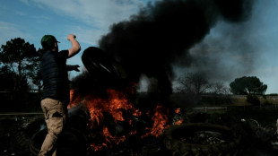 Dermatose: sur l'A63 bloqu&eacute;e pr&egrave;s de Bordeaux, un ras-le-bol sans "espoir"