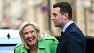France's far-right leaders court Israel, Germany envoys ahead of vote 