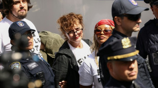 Hollywood stars among arrests in NY anti-Netanyahu protest