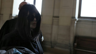 Le proc&egrave;s en appel d'Isabelle Adjani pour fraude fiscale a repris &agrave; Paris