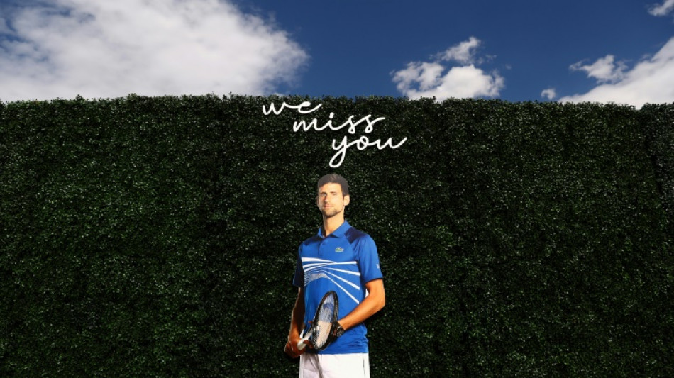 Tennis: Djokovic retrouve son tr&ocirc;ne, Taylor Fritz 13e