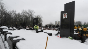 La polic&iacute;a espa&ntilde;ola embarga decenas de inmuebles relacionados con un caso de corrupci&oacute;n en Rusia