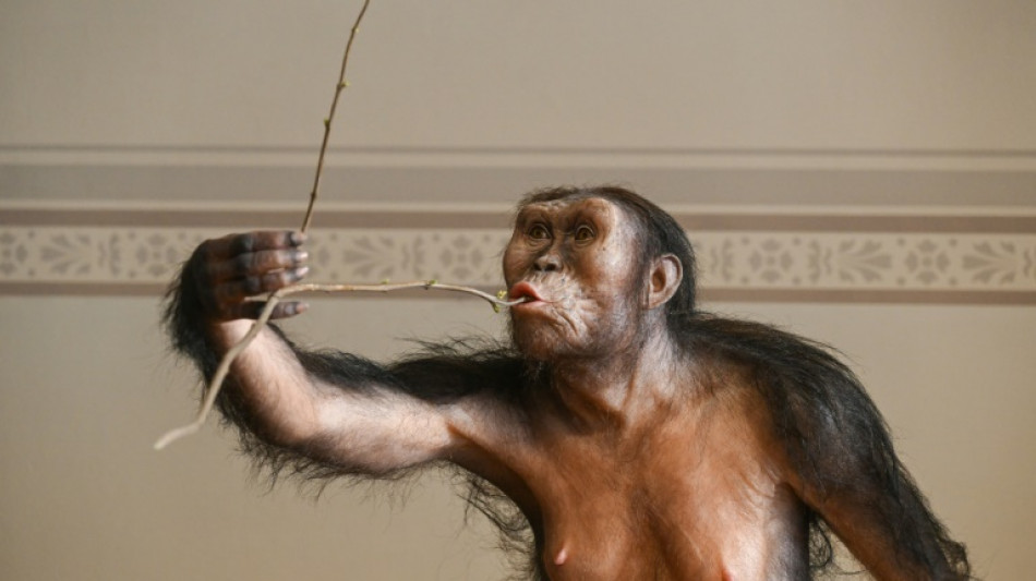 L'australopithèque Lucy, exposée pour la première fois au public à Prague