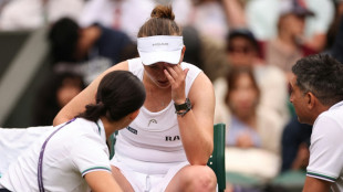 Aus für Rybakina - Tränen bei Krejcikova