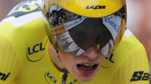 Vingegaard pulverises Pogacar in Tour de France duel