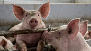 Tier- und Umweltsch&uuml;tzer begr&uuml;&szlig;en &Ouml;zdemirs Initiative f&uuml;r mehr Tierwohl 