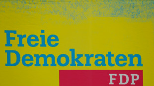 "Popanz Brandmauer": Designierter FDP-Generalsekret&auml;r will neuen Umgang mit AfD