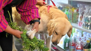 Curandeiras limpam as m&aacute;s energias de pets em mercado do Equador