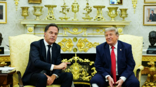 Comment l'Otan compte s'y prendre pour rendre Trump heureux &agrave; Ankara