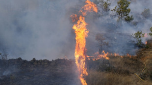 España sufre con los incendios una de sus "mayores catástrofes medioambientales", dice el Gobierno