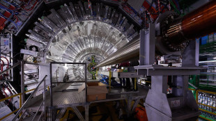 Dal Cern la misura pi&ugrave; precisa del bosone W scoperto da Rubbia