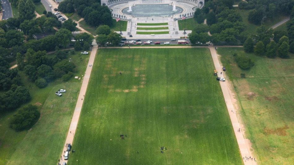 Als Anti-Trump-Slogan geltende Zahlen "8647" gro&szlig; auf National Mall aufgetaucht