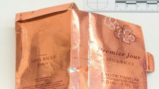 Putin tiene "responsabilidad moral" en el envenenamiento de una brit&aacute;nica, seg&uacute;n una investigaci&oacute;n