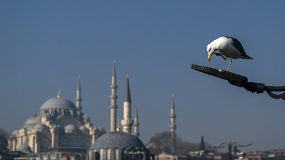 Jogador de futebol amador turco &eacute; tratado como her&oacute;i ap&oacute;s salvar gaivota