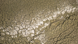 Nouvelle journ&eacute;e de canicule en France, 80 d&eacute;partements en vigilance orange
