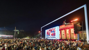 Keine WM-Fanmeile am Brandenburger Tor