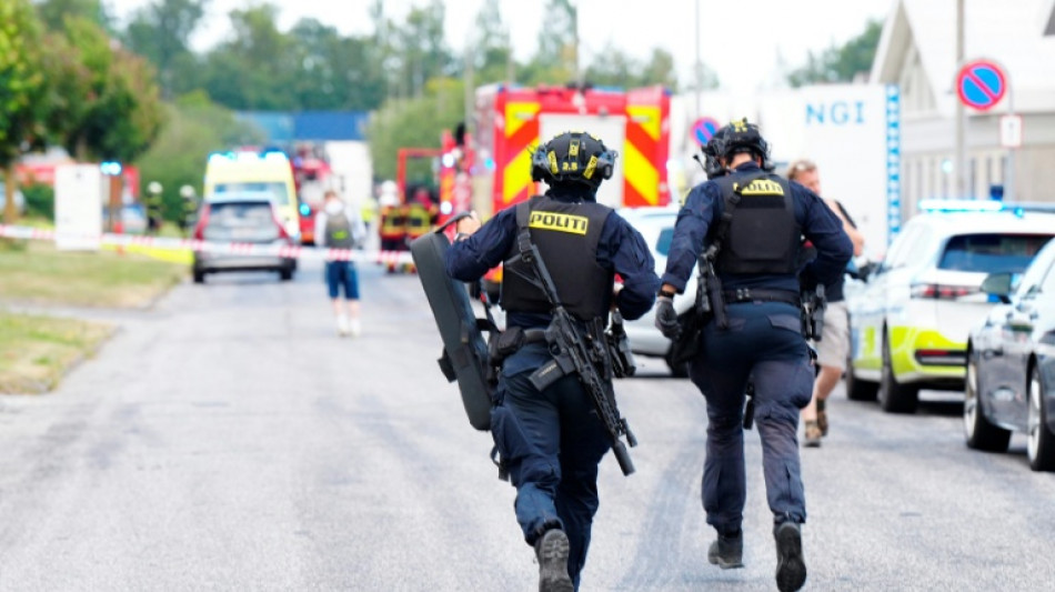 Ein Toter bei Schusswaffenvorfall in D&auml;nemark