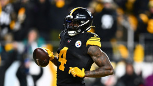 Steelers receiver Metcalf strikes Lions fan
