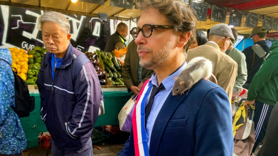 Ratos de Paris encontram um aliado pol&iacute;tico inesperado