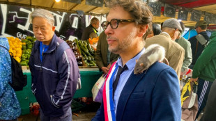 Ratos de Paris encontram um aliado pol&iacute;tico inesperado