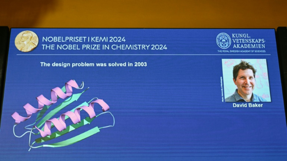 La creaci&oacute;n de nuevas prote&iacute;nas, un campo prometedor que ha merecido un Premio Nobel de Qu&iacute;mica