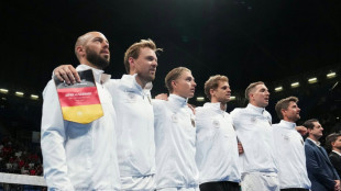 Davis-Cup-Team löst Ticket für Finalrunde 