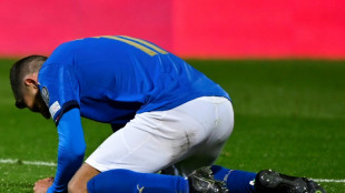 Mondial-2002: nouveau fiasco pour l'Italie, encore priv&eacute;e du Mondial!